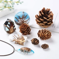Craft Affaire Pine Cones - Small - 15 pieces